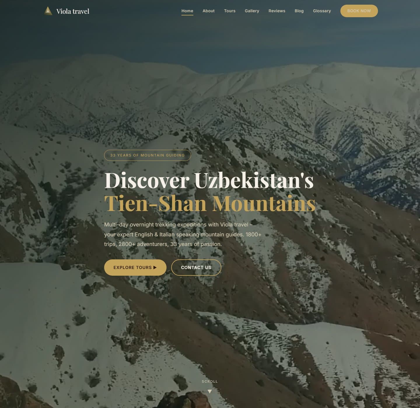 Viola Travel — Travel & expeditions website built by At Capacity Leads